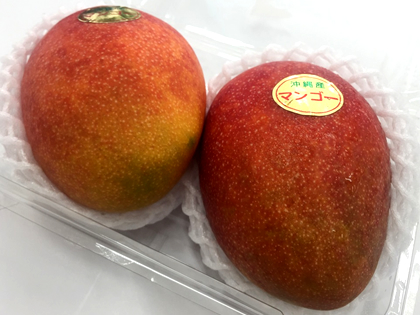 takadanobaba chintai mango