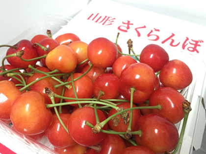 takadanobaba chintai cherry